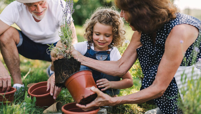 Top 5 gardening mistakes to avoid