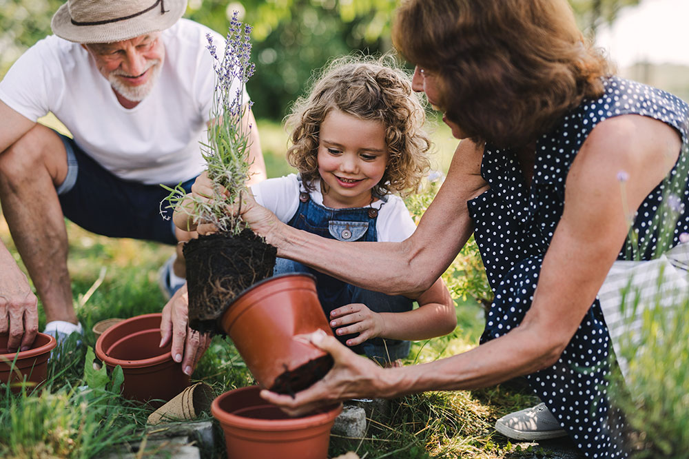 Top 5 gardening mistakes to avoid