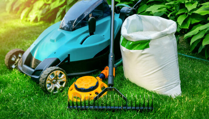 Top 5 lawn care tips to check out