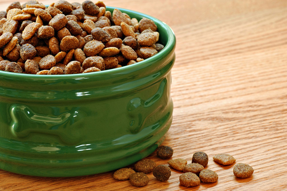 10 Dog Food Deals to Expect During Black Friday 2023