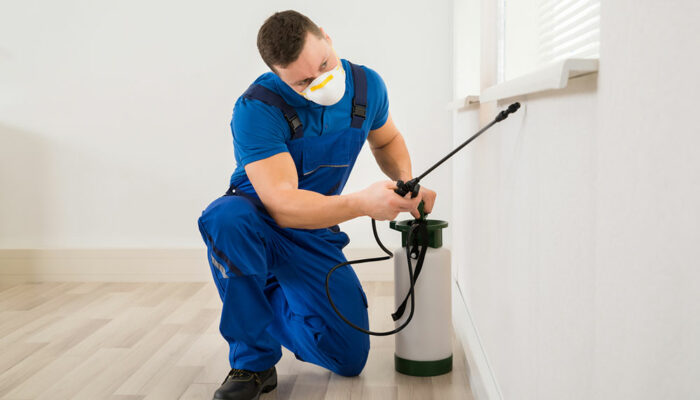 7 common home pest control mistakes