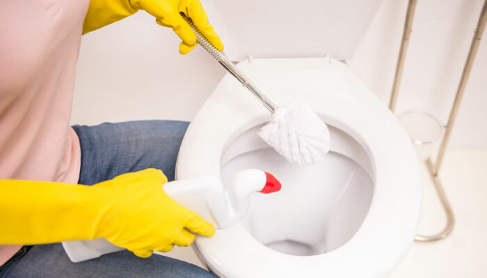 7 common toilet cleaning mistakes to avoid