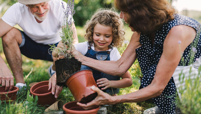 6 common gardening mistakes to avoid