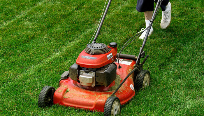 6 easy tips for maintaining a lawn