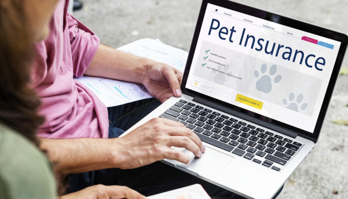 9 common mistakes to avoid before buying pet insurance