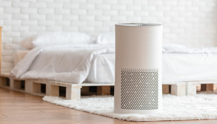 Best Molekule air purifiers of 2021