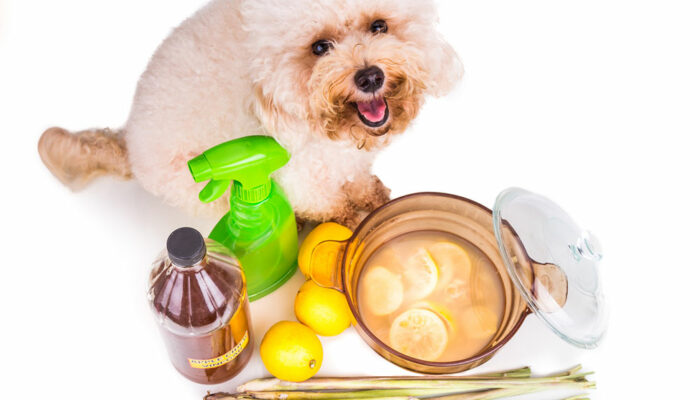 DIY vinegar and baking soda sprays to get rid of fleas on pets