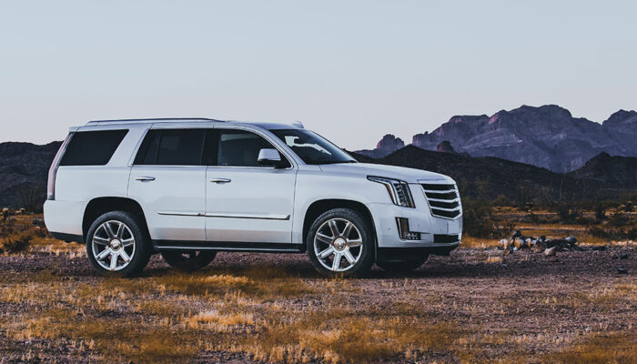 Rental rates for Cadillac SUVs across top agencies