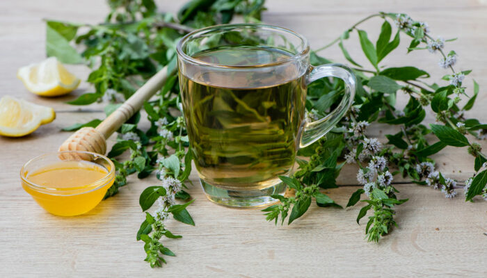 Top 6 fragrant plants that repel ticks