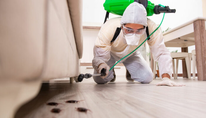 5 tips to find a reliable pest control service